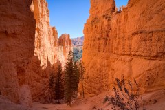 Bryce-Canyon-National-Park-09