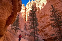 Bryce-Canyon-National-Park-10