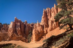 Bryce-Canyon-National-Park-11