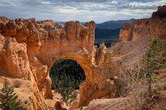 Bryce-Canyon-National-Park-16