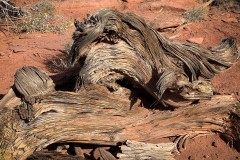 Canyonlands-National-Park-04