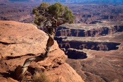 Canyonlands-National-Park-09