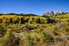 Fall Colors on County Road 12