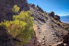 Echo-Canyon-Rd-and-Flora-06