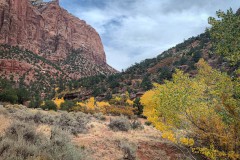 Zion-National-Park-05