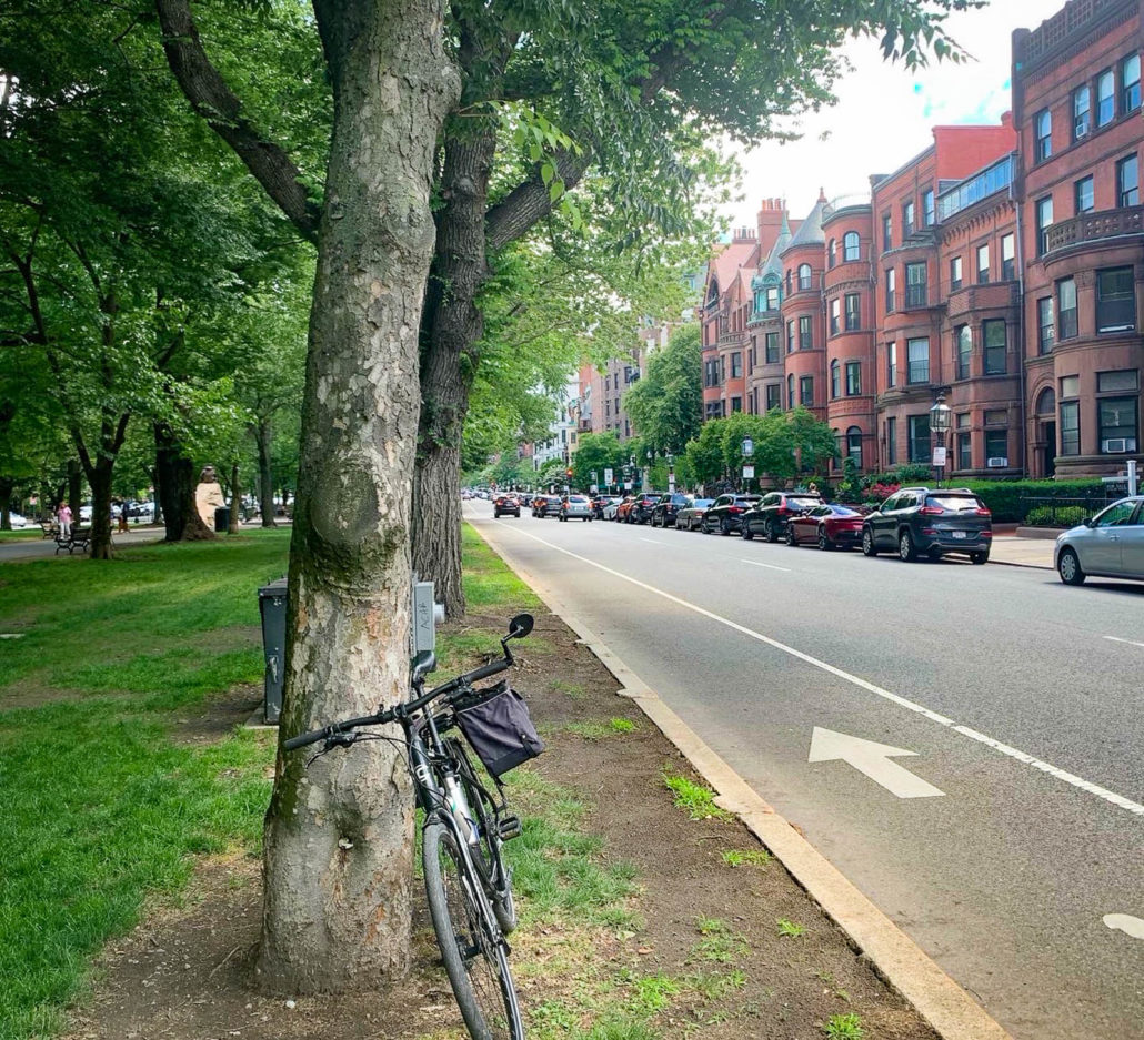 Bike lane on Commonwealth Avenue in Boston