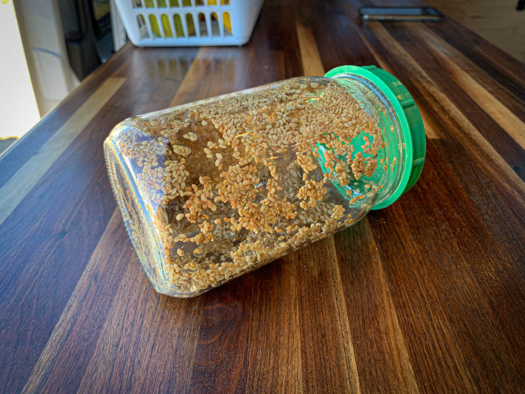 alfalfa sprout seeds in jar